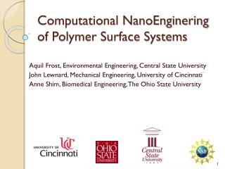 Computational NanoEnginering of Polymer Surface Systems