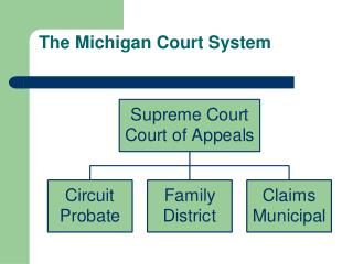 The Michigan Court System