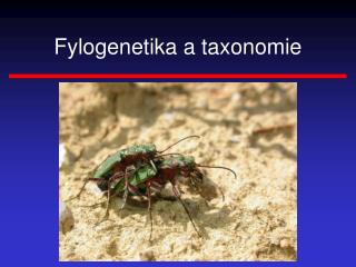 Fylogenetika a taxonomie