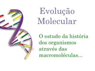 Evolução Molecular
