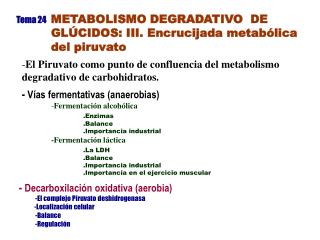 Tema 24 METABOLISMO DEGRADATIVO DE GLÚCIDOS: III. Encrucijada metabólica del piruvato