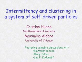 Intermittency and clustering in a system of self-driven particles