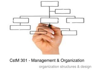 CstM 301 - Management & Organization