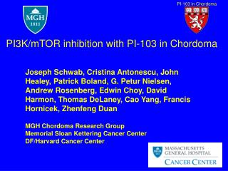 PI3K/mTOR inhibition with PI-103 in Chordoma
