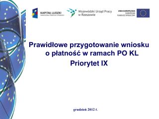 Prawidłowe przygotowanie wniosku o płatność w ramach PO KL Priorytet IX