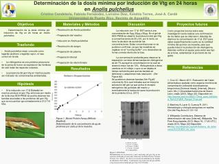 Determinación de la dosis mínima por inducción de Vtg en 24 horas en Anolis pulchellus