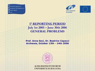 1° REPORTING PERIOD July 1st 2005 – June 30th 2006 GENERAL PROBLEMS