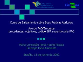 Maria Conceição Peres Young Pessoa Embrapa Meio Ambiente Brasília, 13 de junho de 2002