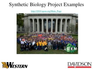 Synthetic Biology Project Examples