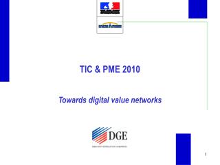 TIC &amp; PME 2010