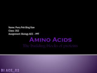 Amino Acids The building blocks of proteins