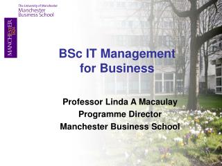 Professor Linda A Macaulay Programme Director Manchester Business School