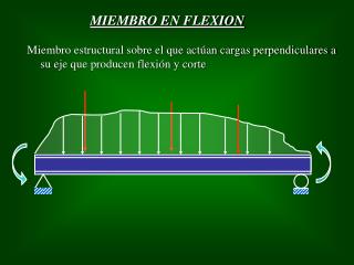 MIEMBRO EN FLEXION