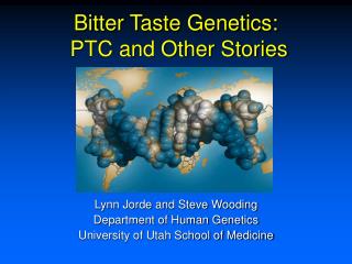 Bitter Taste Genetics: PTC and Other Stories