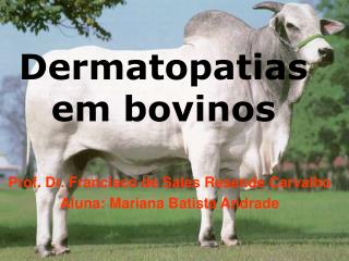 Dermatopatias em bovinos