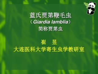 蓝氏贾第鞭毛虫 （ Giardia lamblia ） 简称贾第虫