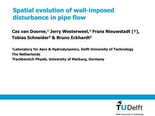 Spatial evolution of wall-imposed disturbance in pipe flow