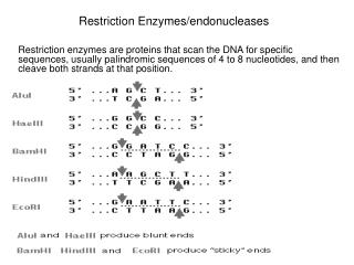 Restriction Enzymes/endonucleases