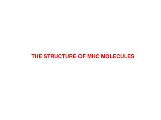 THE STRUCTURE OF MHC MOLECULES