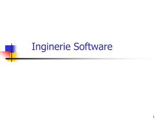 Inginerie Software