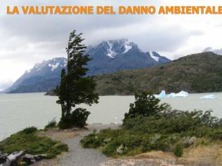 LA VALUTAZIONE DEL DANNO AMBIENTALE