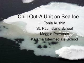 Chill Out-A Unit on Sea Ice