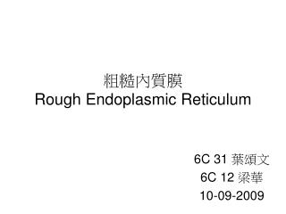 粗糙內質膜 Rough Endoplasmic Reticulum