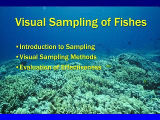 Visual Sampling of Fishes