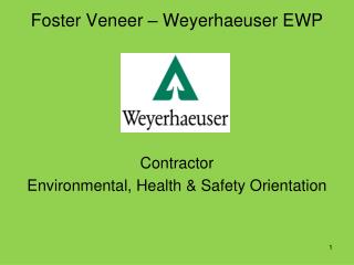 Foster Veneer – Weyerhaeuser EWP
