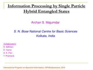 Information Processing by Single Particle Hybrid Entangled States