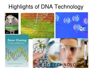 Highlights of DNA Technology
