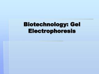 Biotechnology: Gel Electrophoresis