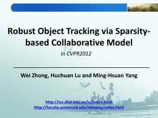 Robust Object Tracking via Sparsity-based Collaborative Model