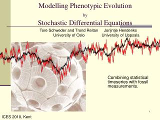 Modelling Phenotypic Evolution by Stochastic Differential Equations
