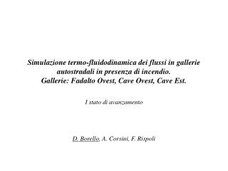 I stato di avanzamento D. Borello , A. Corsini, F. Rispoli