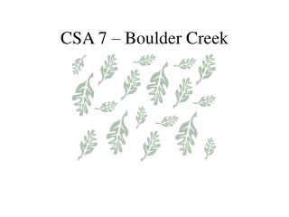 CSA 7 – Boulder Creek