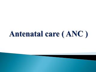 Antenatal care ( ANC )