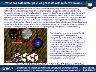What has soft matter physics got to do with butterfly colors?