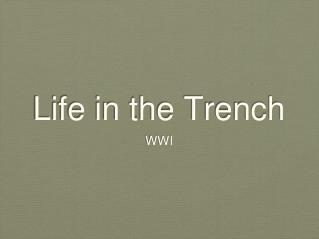 Life in the Trench