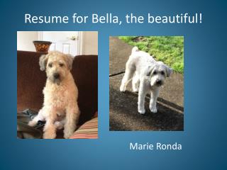 Resum e for Bella, the beautiful!