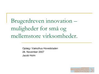 Brugerdreven innovation – muligheder for små og mellemstore virksomheder.