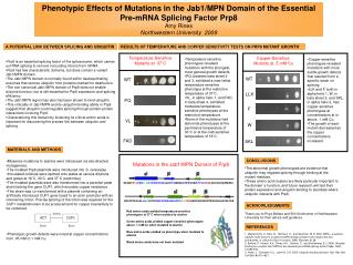 Phenotypic Effects of Mutations in the Jab1/MPN Domain of the Essential
