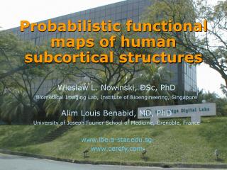 Probabilistic functional maps of human subcortical structures