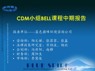CDM 小组 BELL 课程中期报告