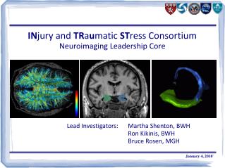 IN jury and TR a u matic ST ress Consortium Neuroimaging Leadership Core