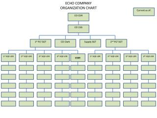 ECHO COMPANY ORGANIZATION CHART