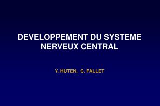 DEVELOPPEMENT DU SYSTEME NERVEUX CENTRAL Y. HUTEN, C. FALLET
