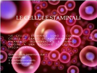 Le cellule staminali
