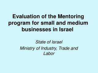 Evaluation of the Mentoring program for small and medium businesses in Israel
