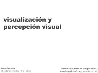visualización y percepción visual